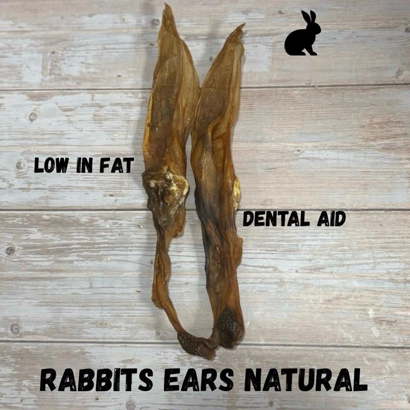 Rabbit Ears without fur
