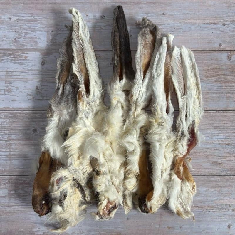 Natural Hairy Rabbit Ears - dogs from 12 weeks