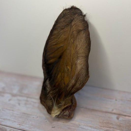 Hairy Cow Ears