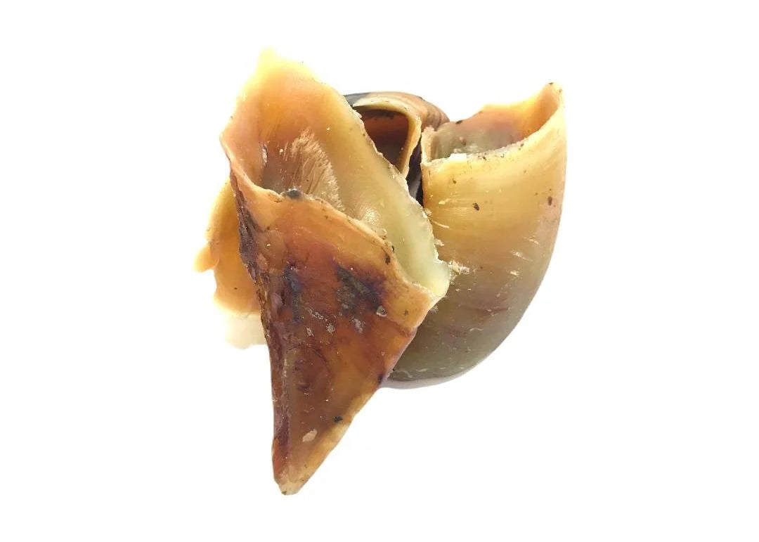 Ozzies Pick ‘n’ Mix