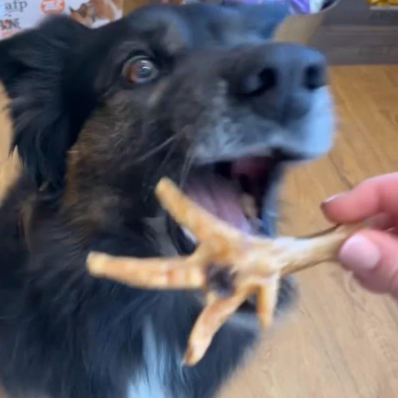 Chicken Feet