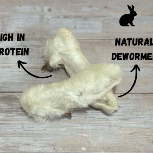 Rabbit Feet with Fur