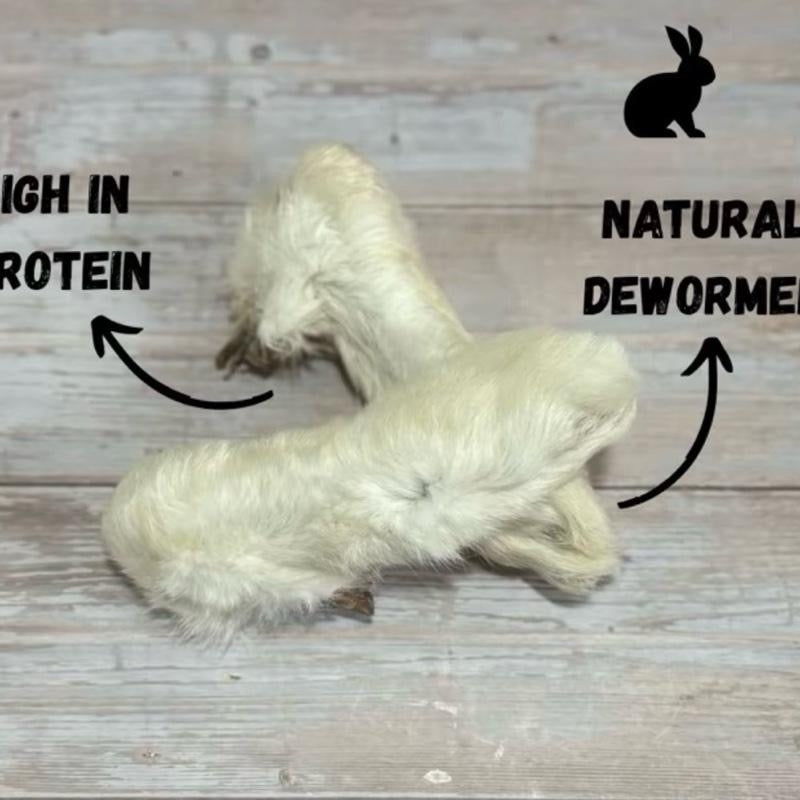 Rabbit Feet with Fur