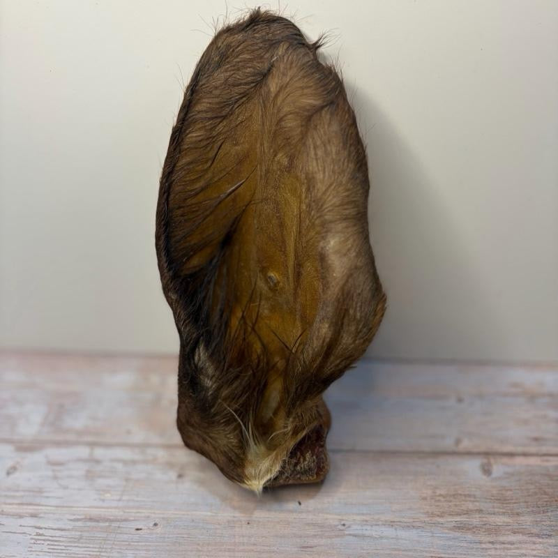 Hairy Cow Ears