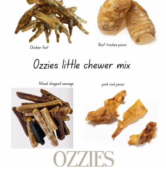 Little Chewer Bundle