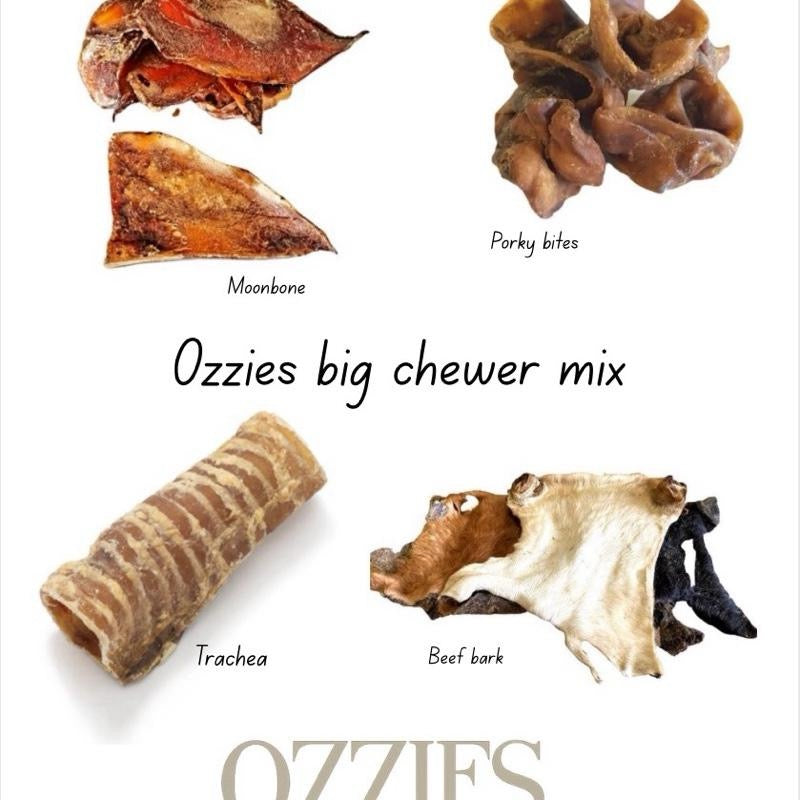 Big Chewer Bundle