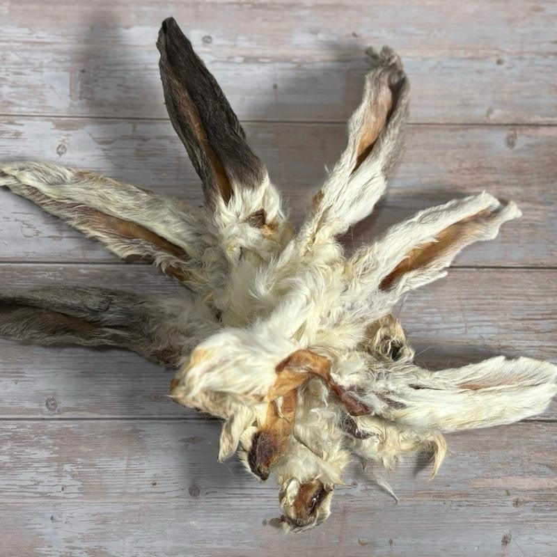 Natural Hairy Rabbit Ears - dogs from 12 weeks